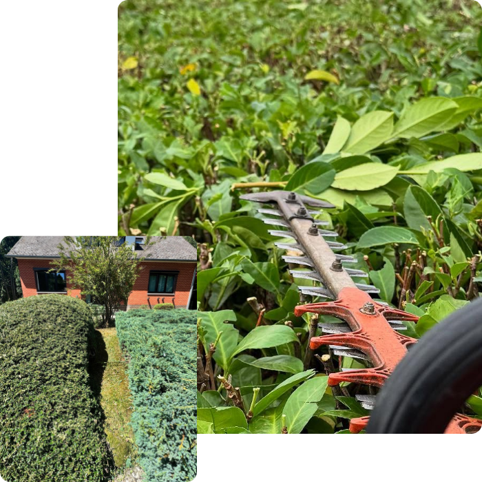 Entretien, jardin, espaces verts, parcs, verdures, végétaux