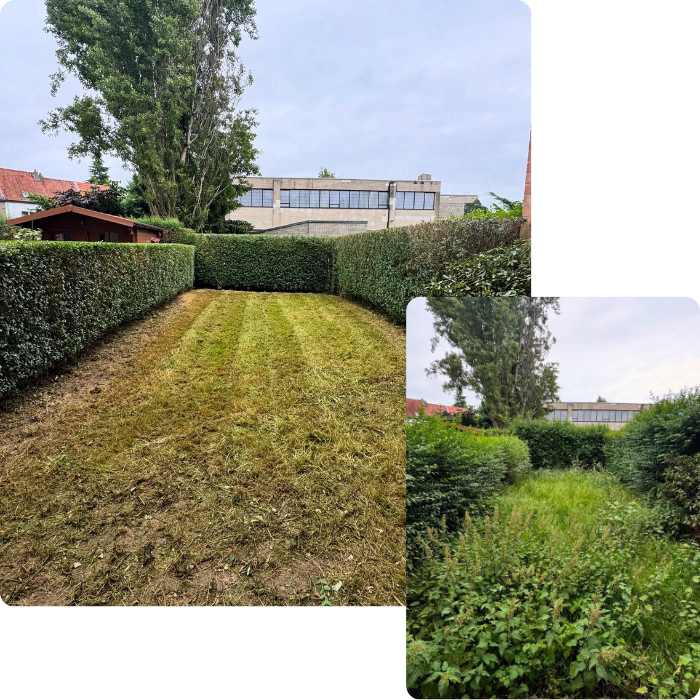 Remise en état, friche, terrain, débrousaillage, désherbage, coupe bordure, entretien, hautes herbes