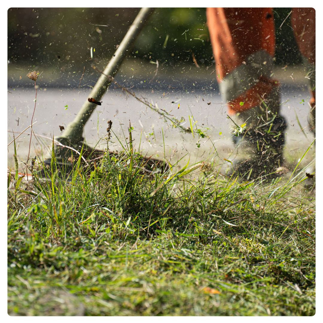 Entretien de jardin, extérieurs, terrain