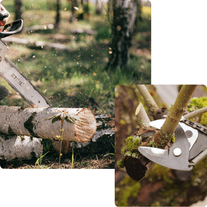 Entretien, jardin, extérieur, feuilles mortes, élagage, abattage