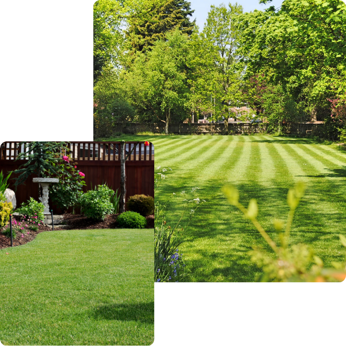 Extérieur, pelouse, haies, tonte, entretien,herbe, désherbage