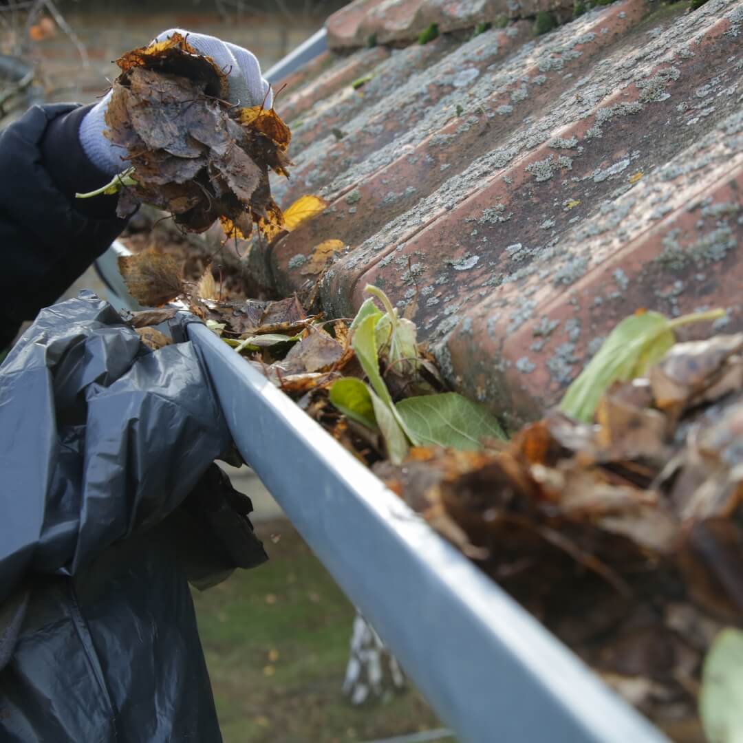 couvreur La Bruyère, toiture Profondeville, rénovation toiture Namur, zinguerie, démoussage toiture, isolation toiture, VELUX, ramonage, gouttières, charpente, couvreur Namur, réparation toiture, étanchéité toiture, nouvelle construction toiture, ardoise, tuiles, cheminée, Province de Namur, entreprise familiale toiture