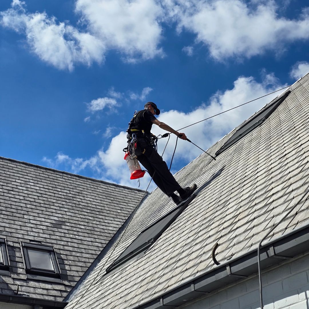 afwerking, gyproc, vloerbekleding, pleisterwerk, cementeren, afwerkingen, 
                   binnenrenovatie, scheidingswanden, interne verbouwing, wandbekleding, metselwerk