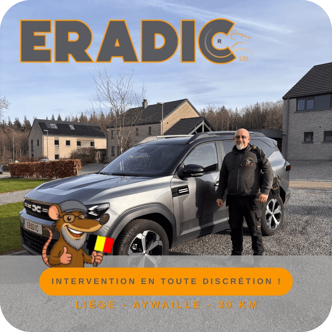 Entreprise de dératisation, désinsectisaiton, anti-nuisibles, rats à Aywaille, fouines, guêpes aywaille, frelons aywaille, souris à Liège