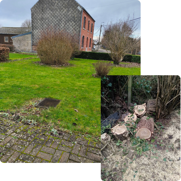 Parc, jardin, entretien extérieur, abattage, élagage, haie, arbre, arbuste, espaces verts