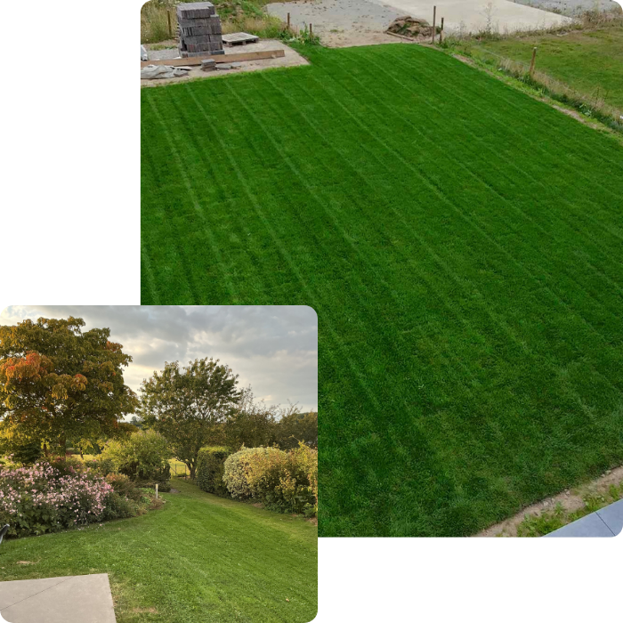 Aménagement extérieur, jardin, espaces, verts, verdures, terrain, terrasse, pavage, pavés, arbre, friche