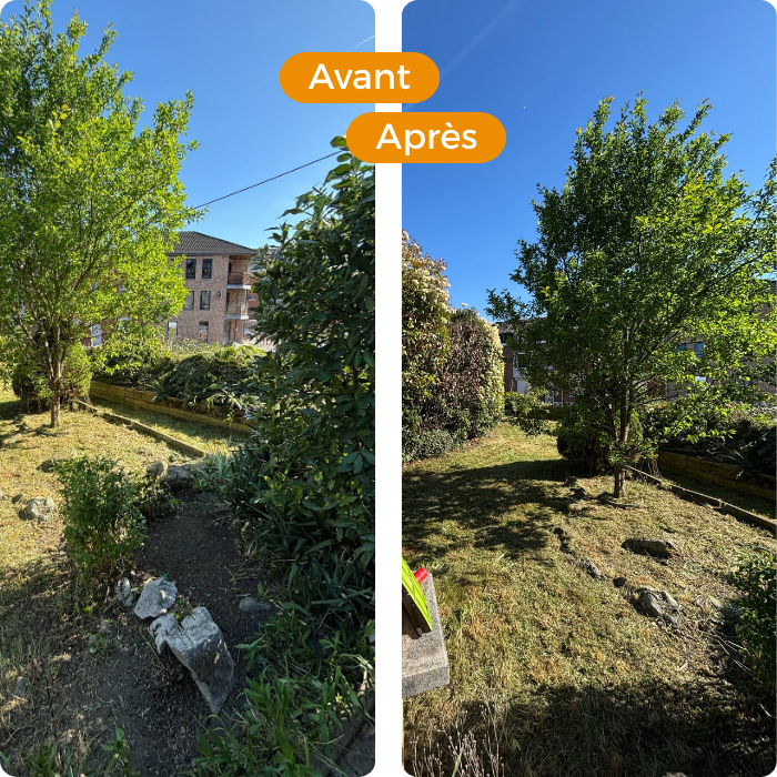 nettoyage, verdures, taille, terrain en friche, desherbage, corniches, terrasses, pavages, allées