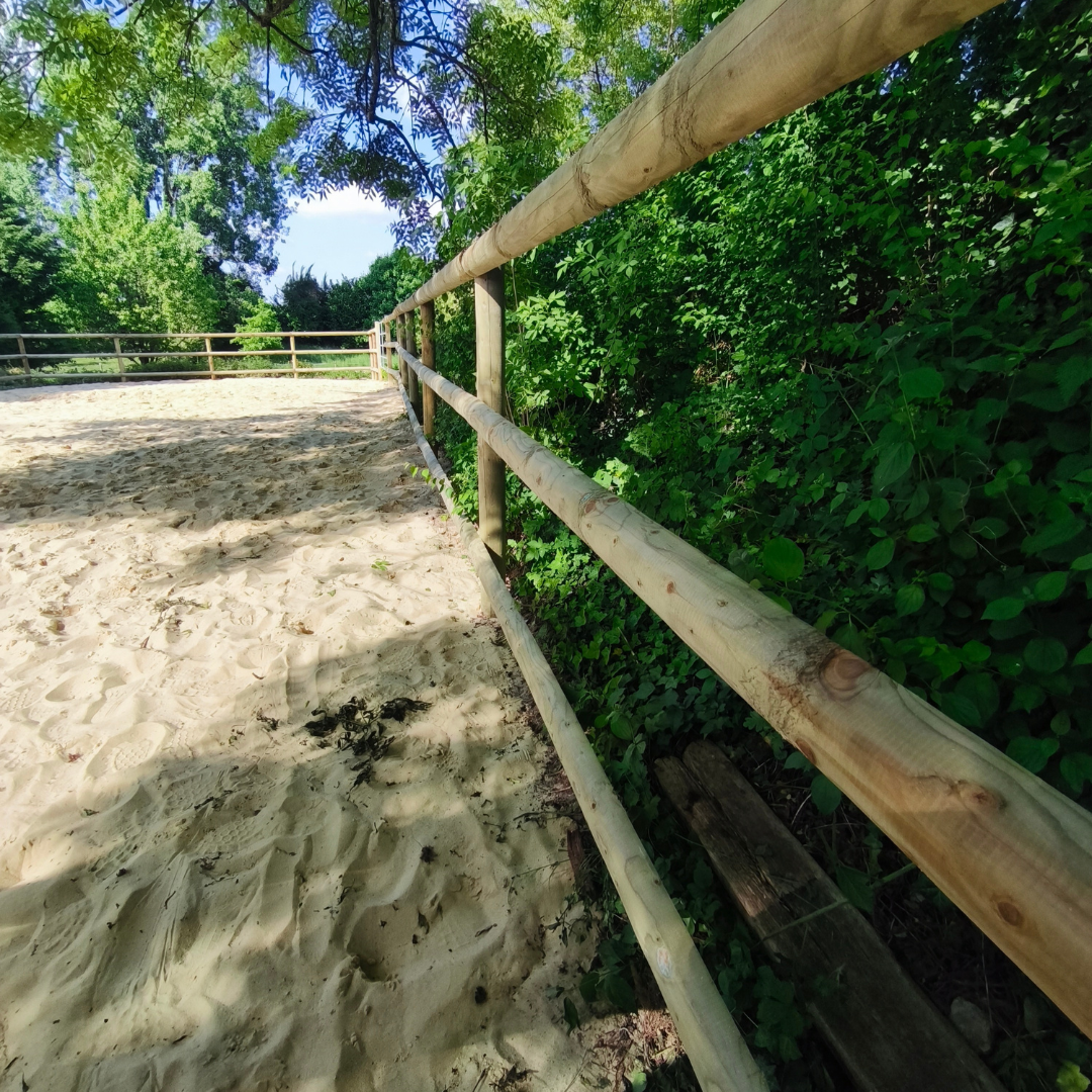 clôture extérieure, brise-vues, visibilité, parcelle, délimiter