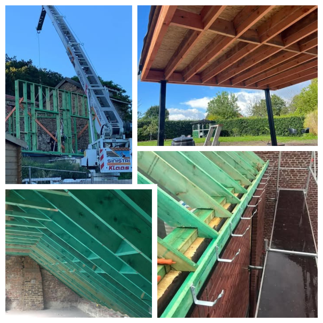 particuliers, professionnels, évacuation des eaux, état de la charpente, finitions, étanchéité