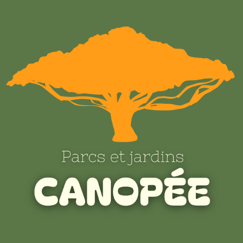 Canopée