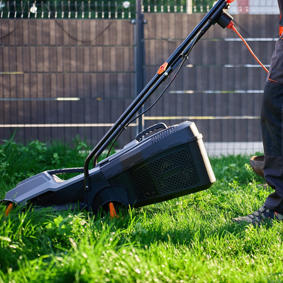 100% électrique, engagements, valeurs, Natagora