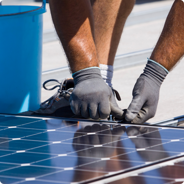 zonnepanelen, laadpaal, thuisbatterij, bio-elektriciteit, 