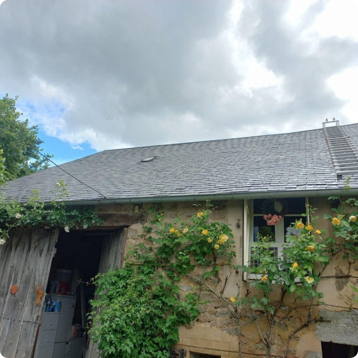 démoussage, toiture, toit, mousse, traitement, nettoyage