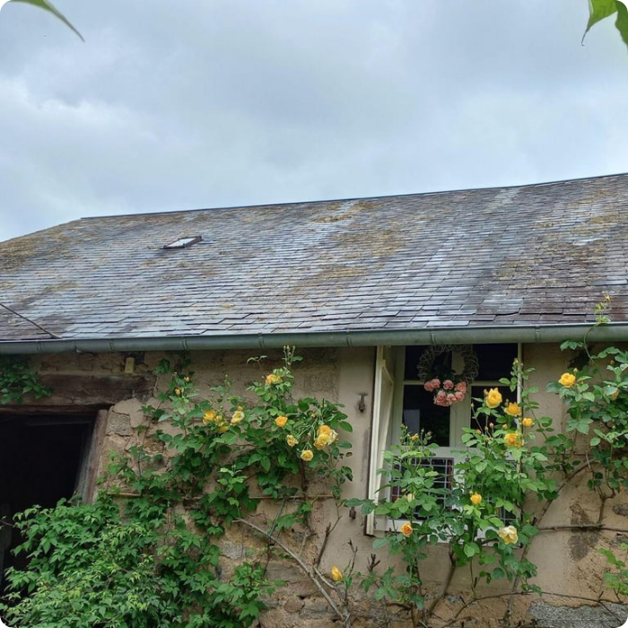 démoussage, toiture, toit, mousse, traitement, nettoyage