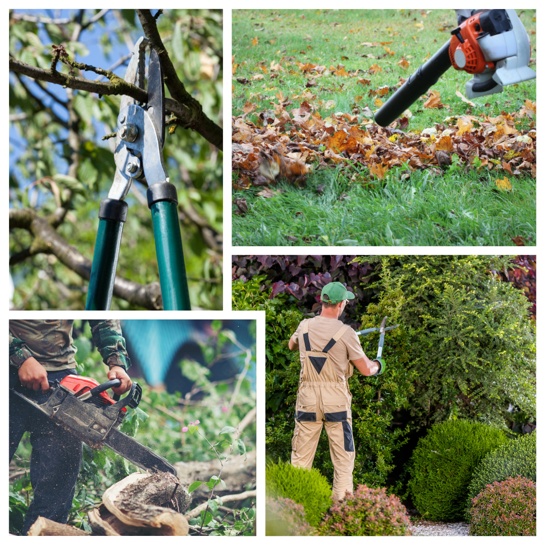 Parc, jardin, entretien extérieur, abattage, élagage, haie, arbre, arbuste, espaces verts