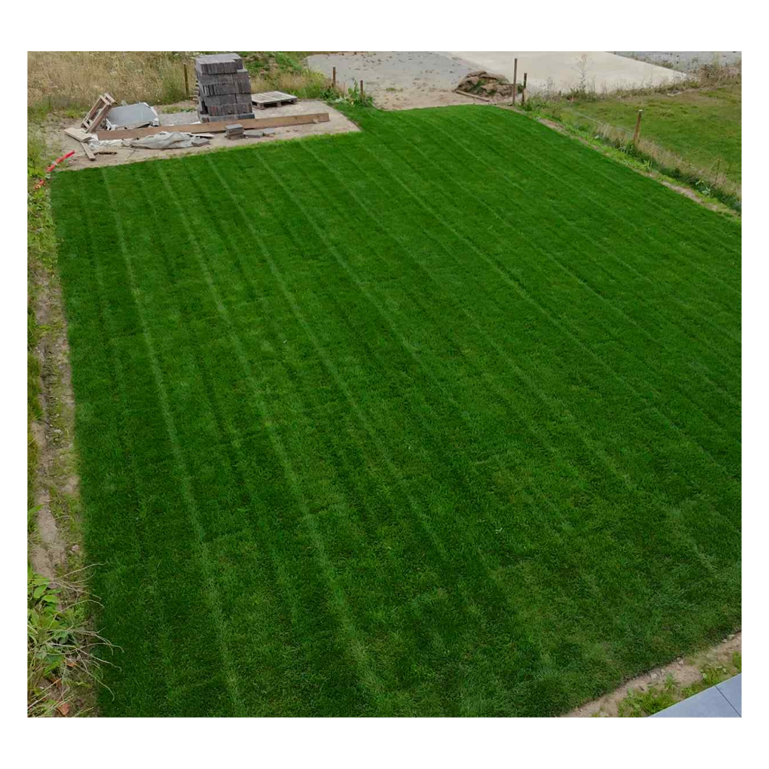 Création, pelouse, gazon, rouleau, herbe, jardin, aménagement, extérieur, sols, terrain