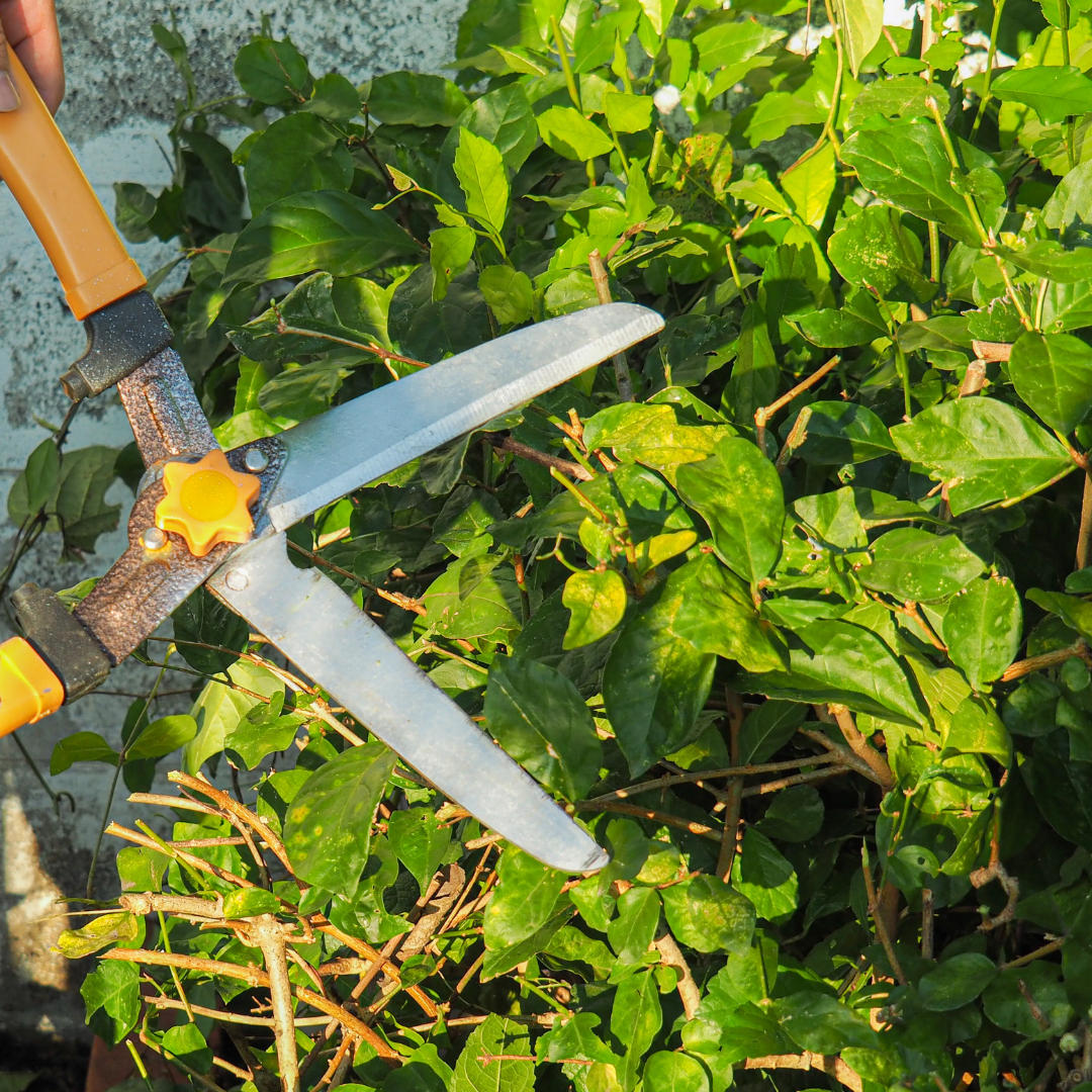Entretien, travaux, extérieur, jardin, coupe, herstal, liège, pulvérisation, produits, 