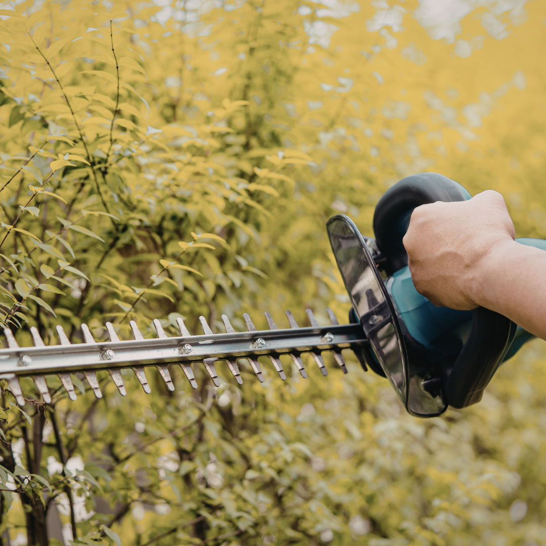 jardinier, jardin, espaces verts, tonte, taille, haie, arbuste, arbre, entretien