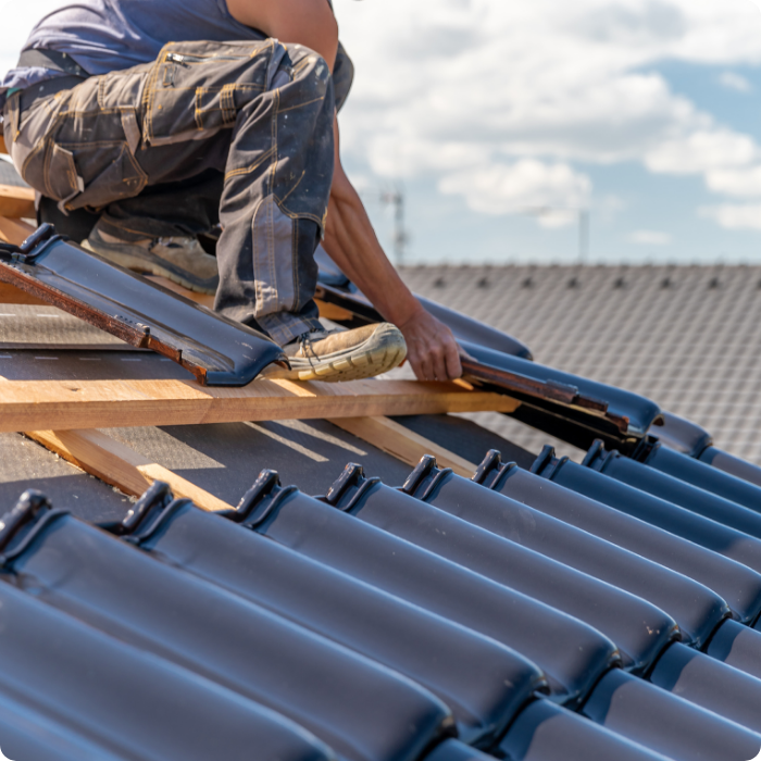 dakpan, leisteen, dakbedekking, dakdekker