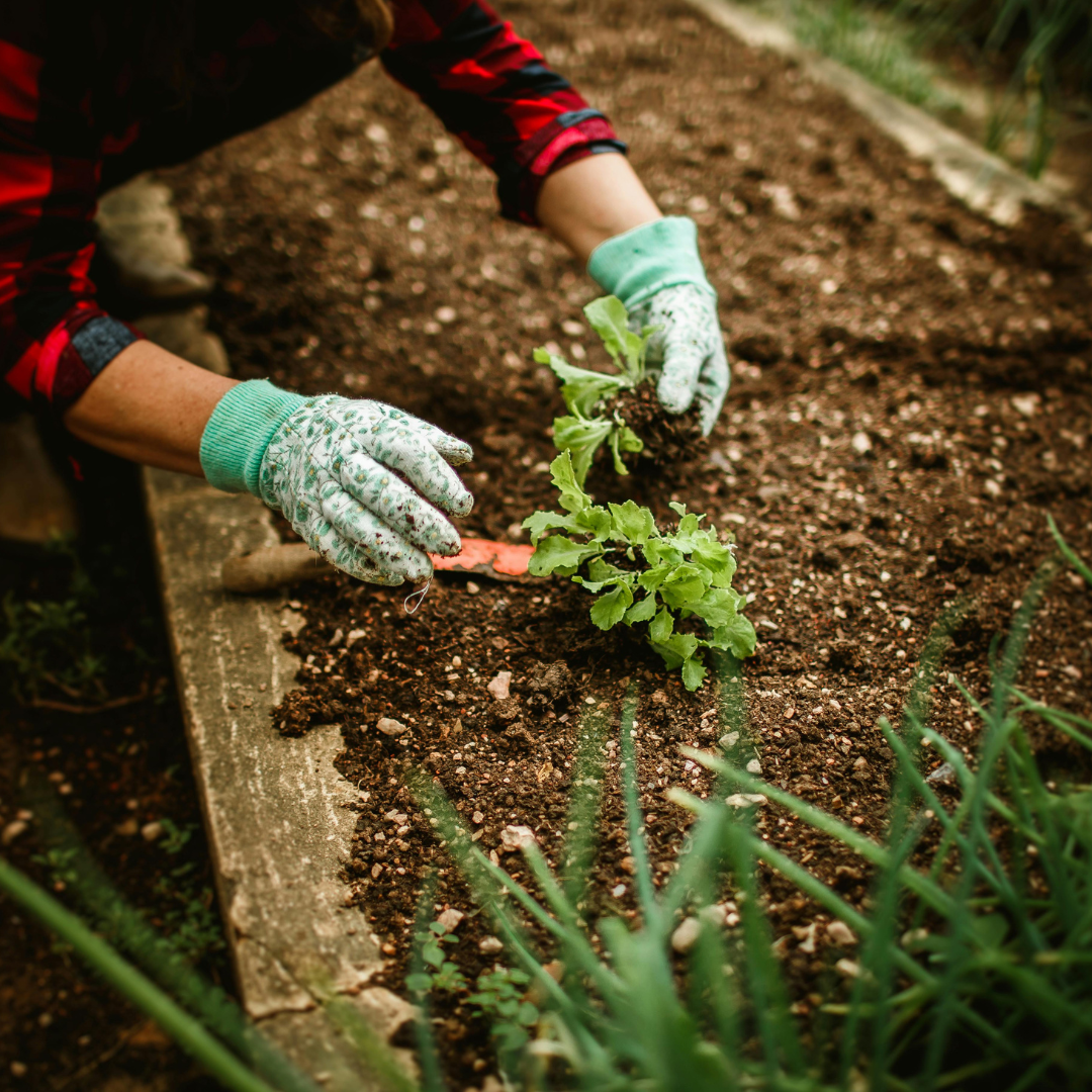 Rénovation, préparation, extérieur, aménagement, circulations