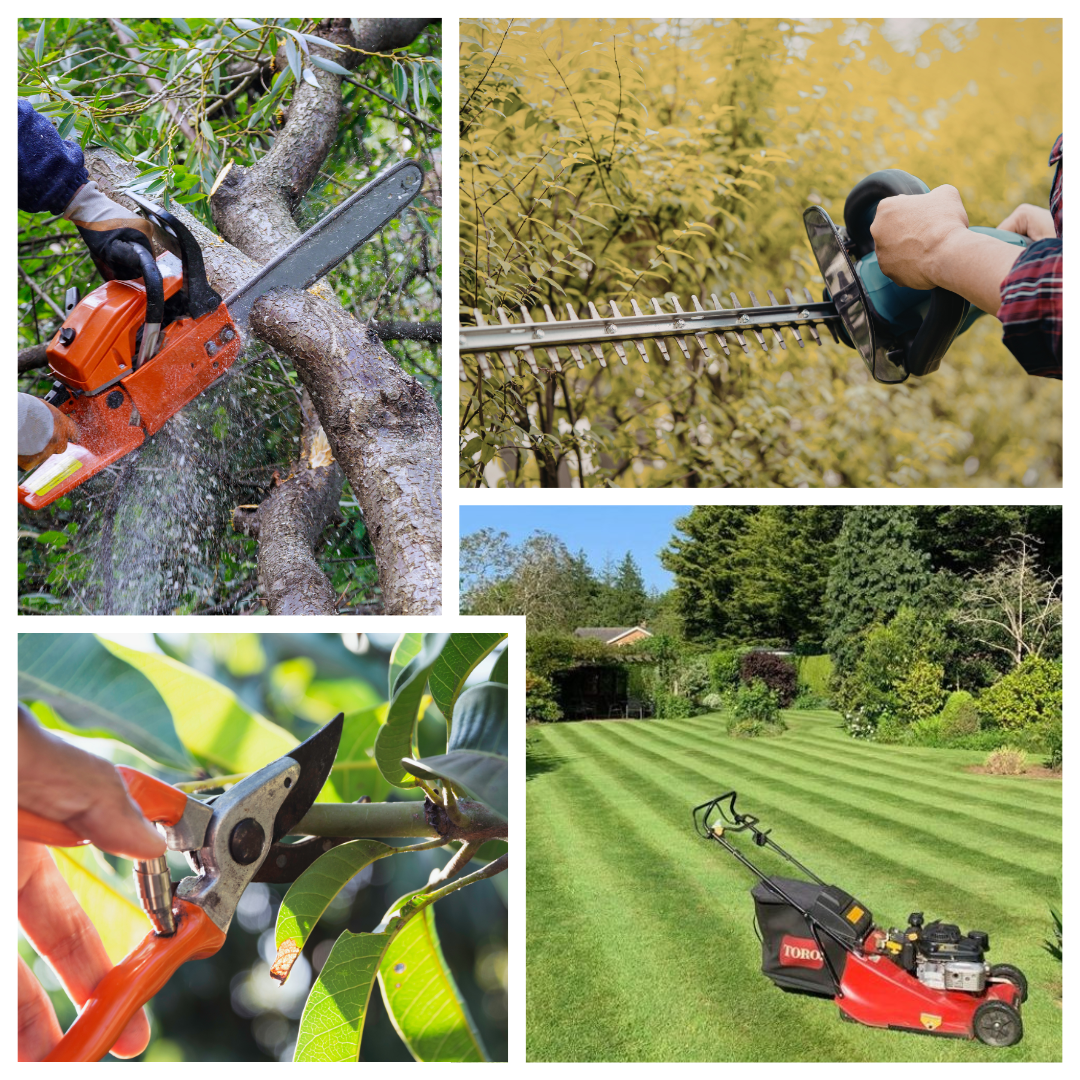 jardin, entretien, aménagement de jardin