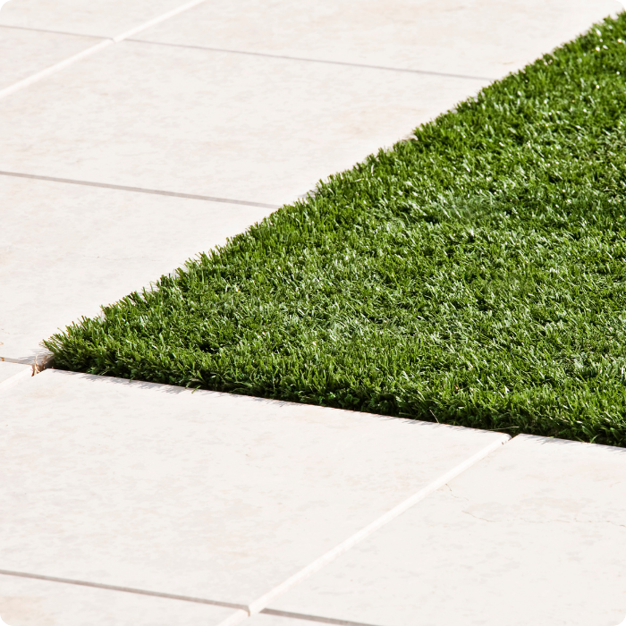 Création de pelouse, gazon, herbe