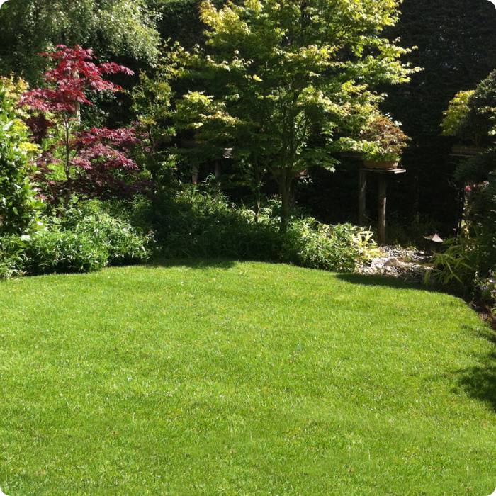 Jardinier, paysagiste, arbuste, haie