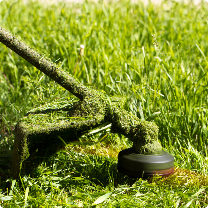 Coupe bordures, débrousaillage, plantes, herbe, tonte, coupe, taille, 
                      plantation, massifs, parterre, fleurs