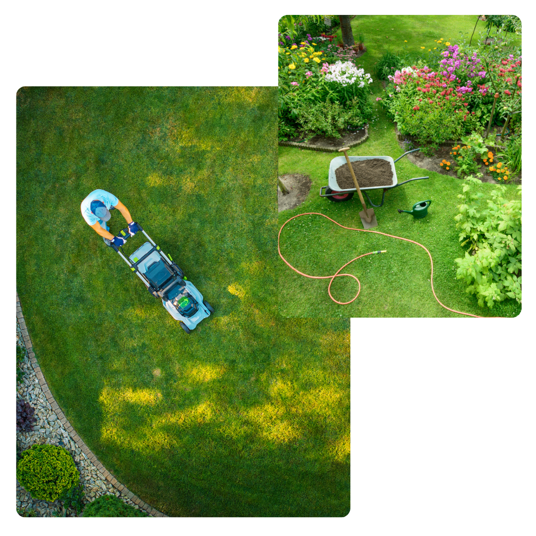 nettoyage de jardin, entretien des espaces verts, débroussaillage