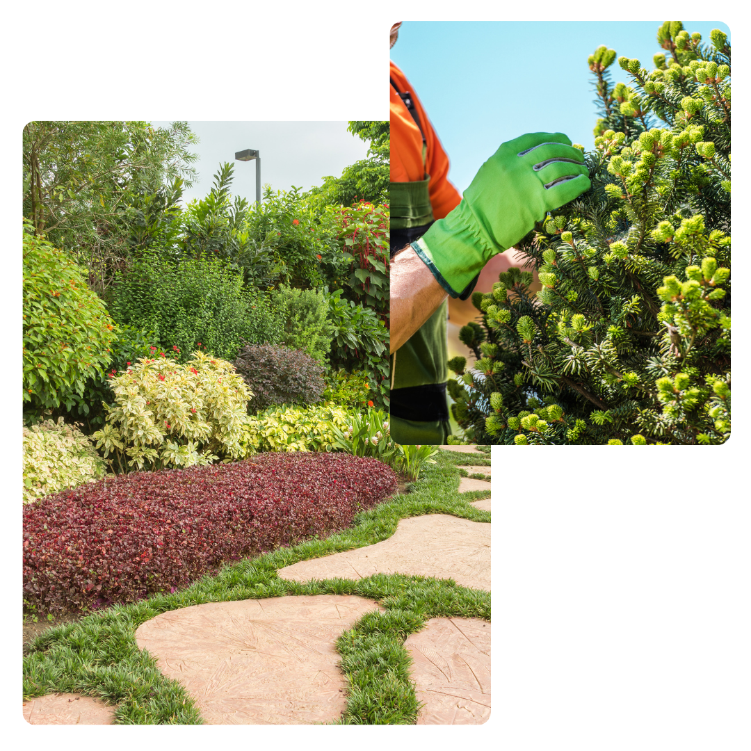 aménagement de jardin, Liège, nature, extérieur