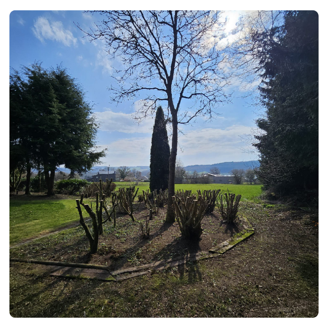 Tonte, remise en ordre, nettoyage