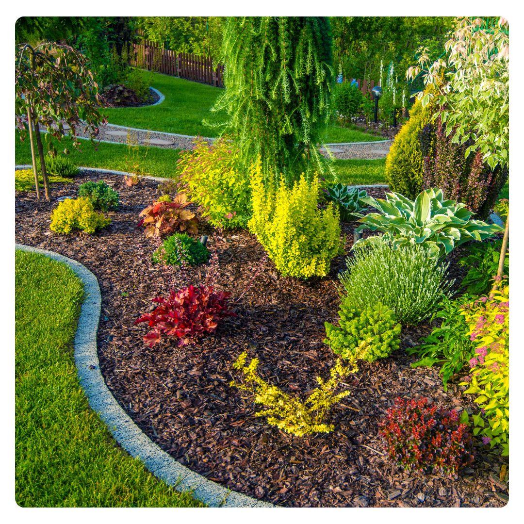 circulation, création, jardin, plantation