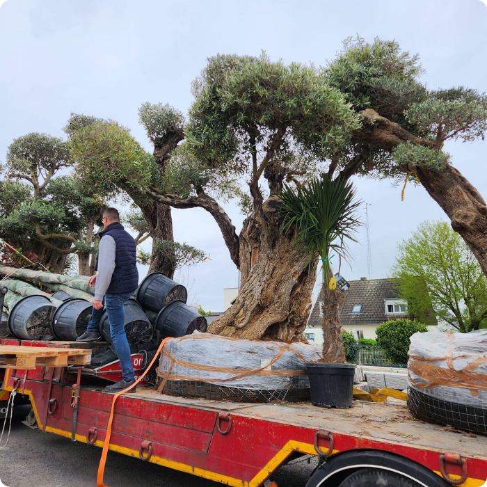 pavé, parking privé, asphalte, macadam, béton, dalle, gros oeuvre, chape, sols extérieurs, bétonnage