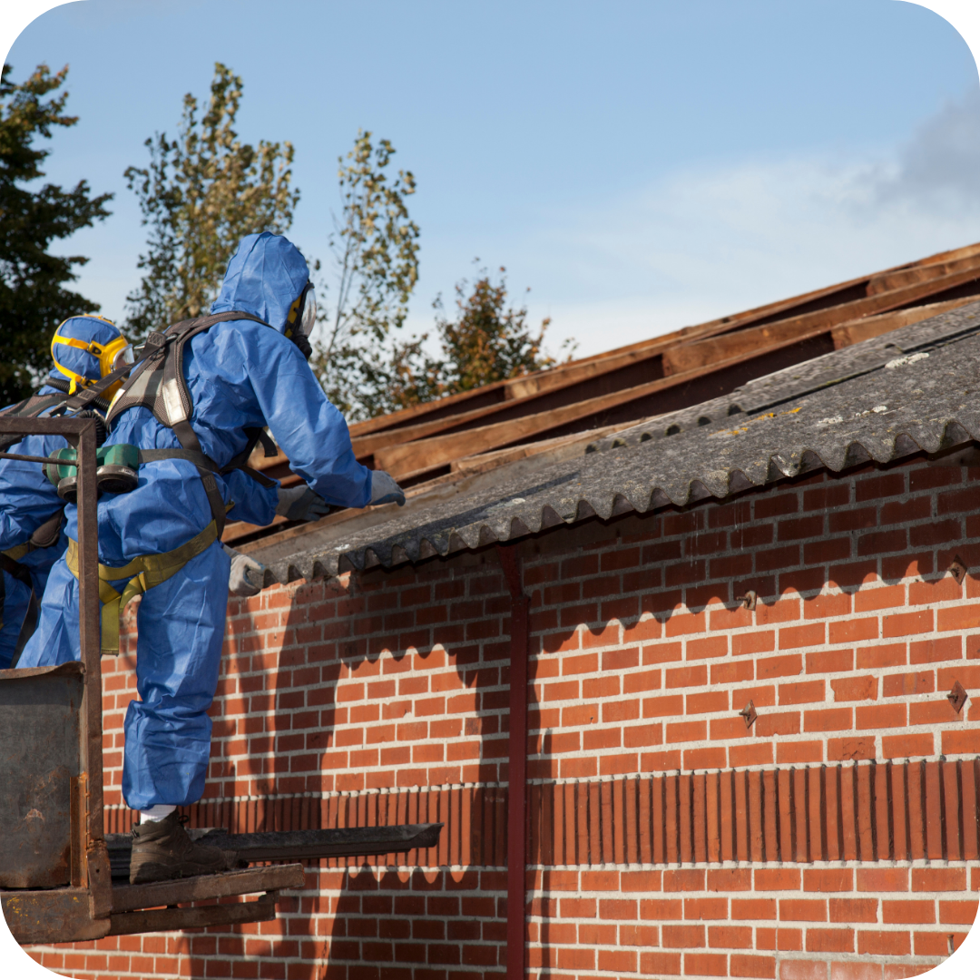 dakwerken Maasmechelen, dakdekker Hasselt, dakrenovatie Tongeren, dakwerken Limburg, dakafdichting, dakisolatie, leien daken, platte daken, VELUX, veranda Maasmechelen, asbestverwijdering, dakgoten, dakpannen, ontmossen daken, dakherstelling, schoorsteenvegen, natuurleien, timmerwerk, kroonlijsten, daktimmerwerk