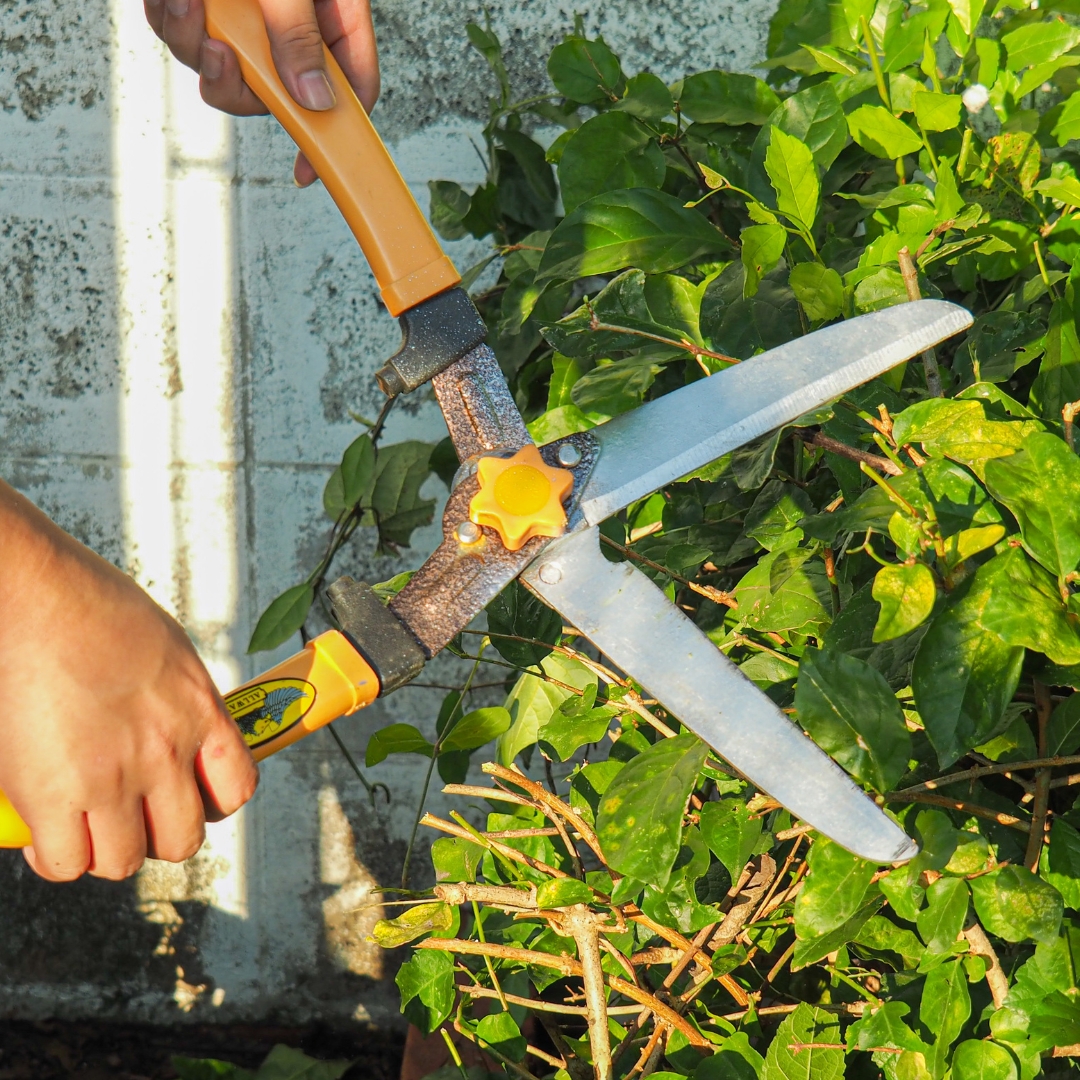 aménagement extérieur, entretient, pavage, allée et abords, nettoyage haute pression, plantations, création de haies, arbres et arbustes, clôtures, palissades