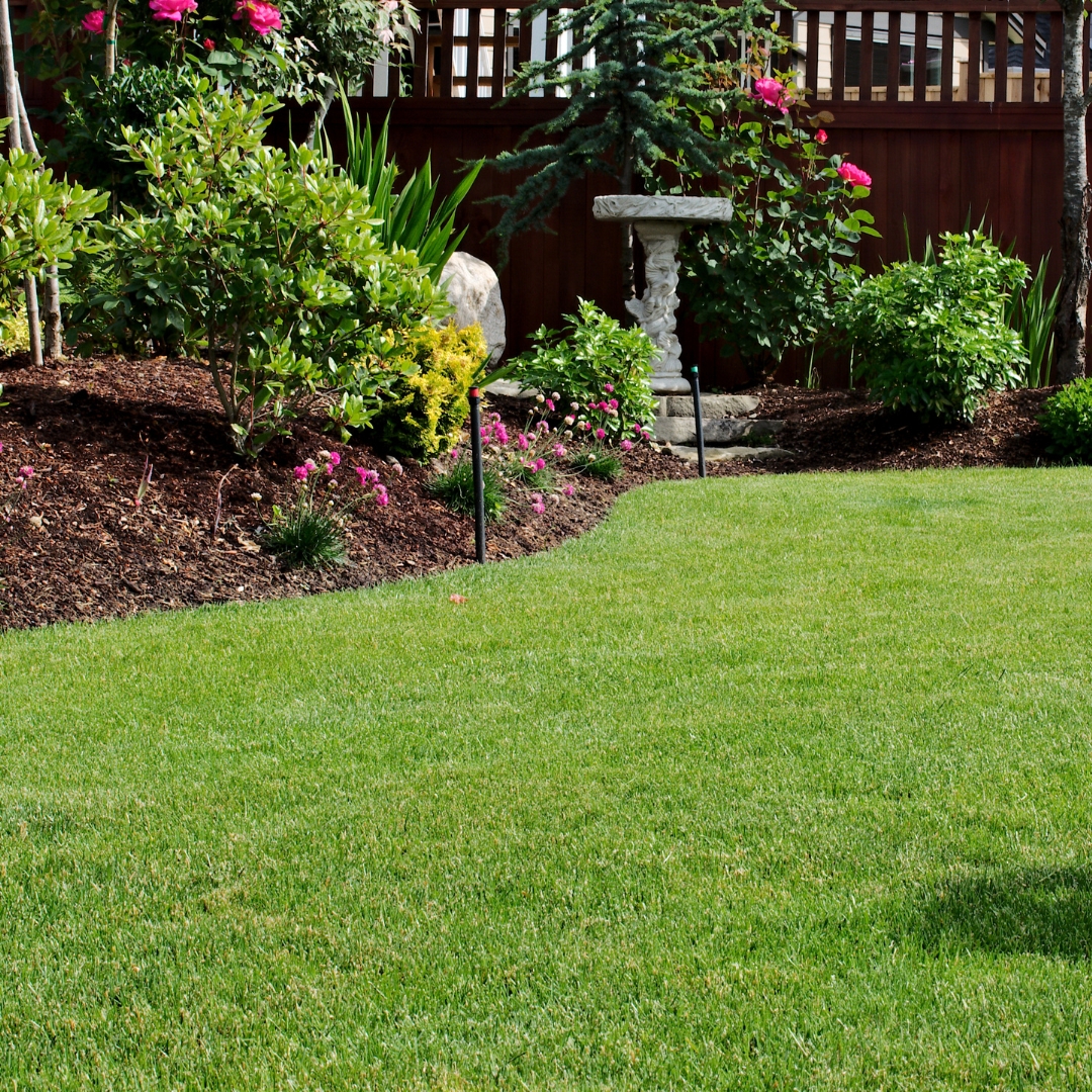 Jardinier, jardin, espaces verts, terrasse, nettoyage, entretien, taille, arbuste, haie, abattage