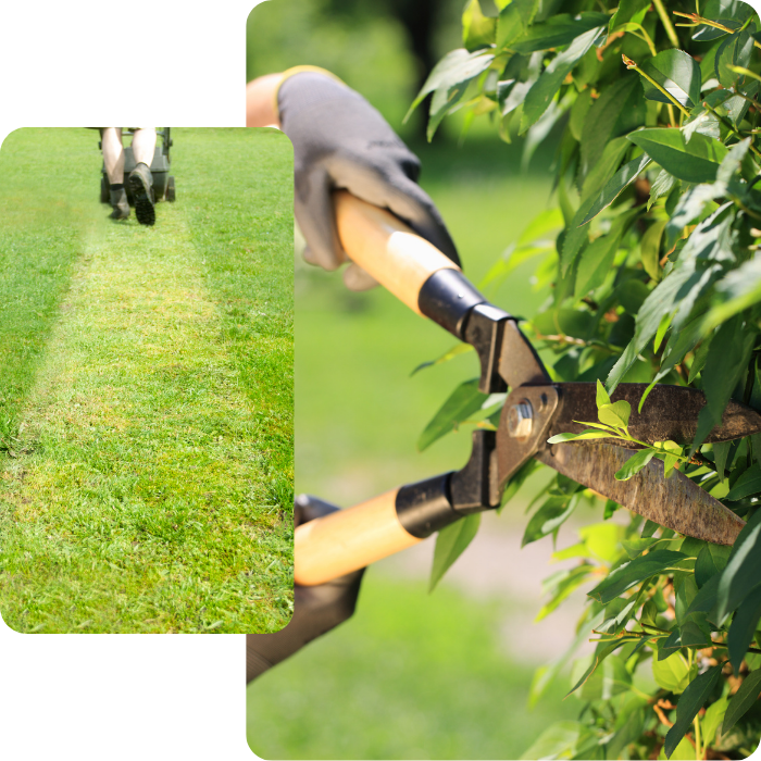 Entretien extérieur, jardin, tonte, pelouse, gazon, nettoyage, haie, élagage, taille