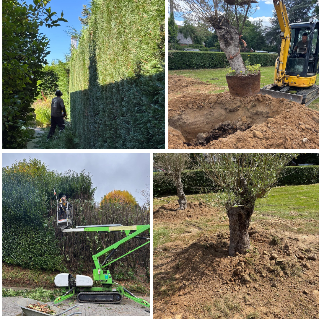 Cloisons, Carrelage mural, Peinture, Rénovation salle de bain, Isolation, Abris de jardin, Pose de parquet, Étang et marre, Restauration de meubles, Terrasse, Abattage et élagage