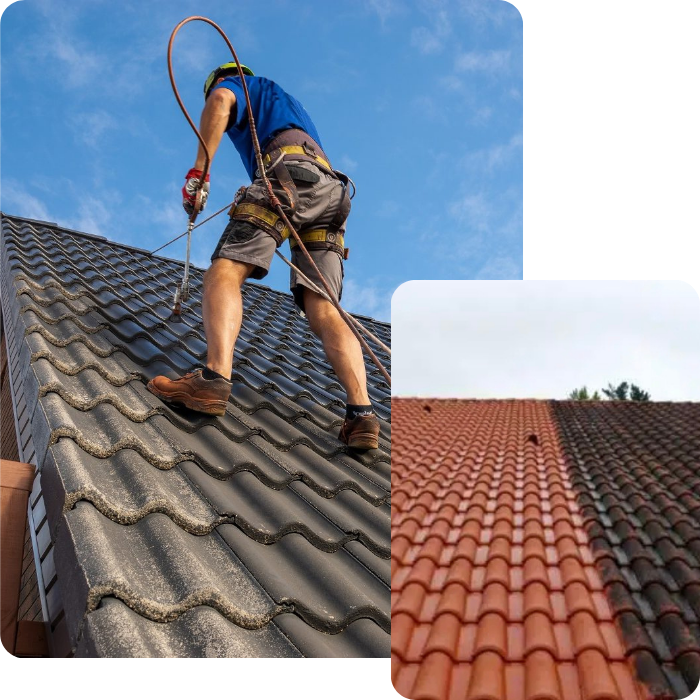 Toiture, peinture, tuiles, entretien toiture, toit, façade, couverture, démoussage, nettoyage