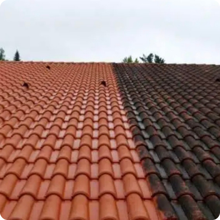 nettoyage toiture, toit, démoussage, entretien, lavage, toiture propre