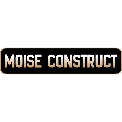 Moise construct