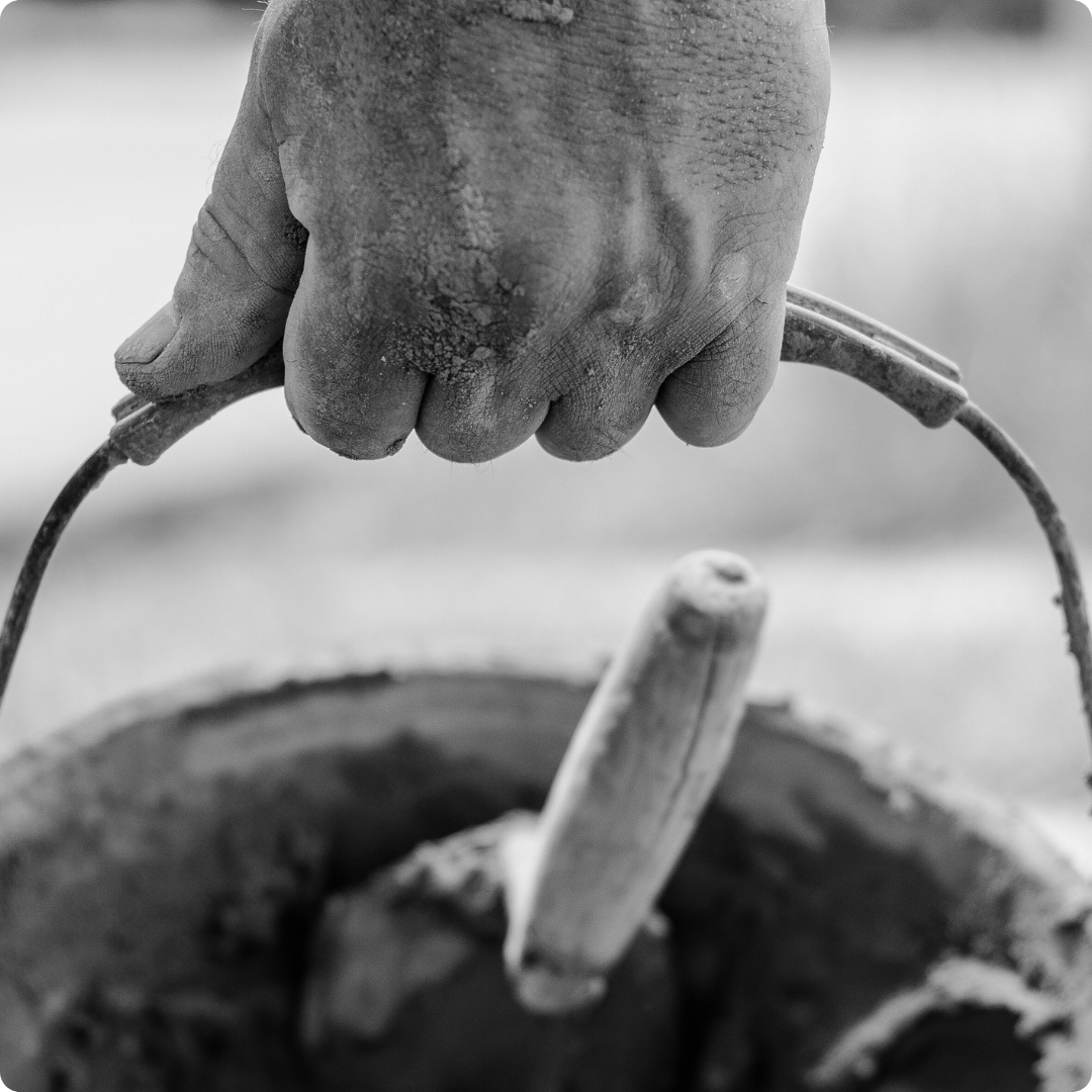 annexes, finitions, carport en bois