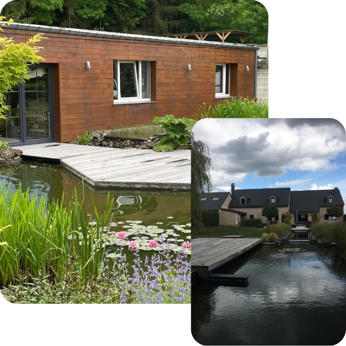 Mares naturelles, entretien, réparation, plantations, plantes aquatiques