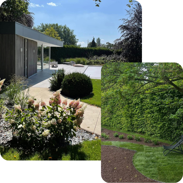 Plantations, plantes, aquatiques, vivaces, parterre, massifs floraux