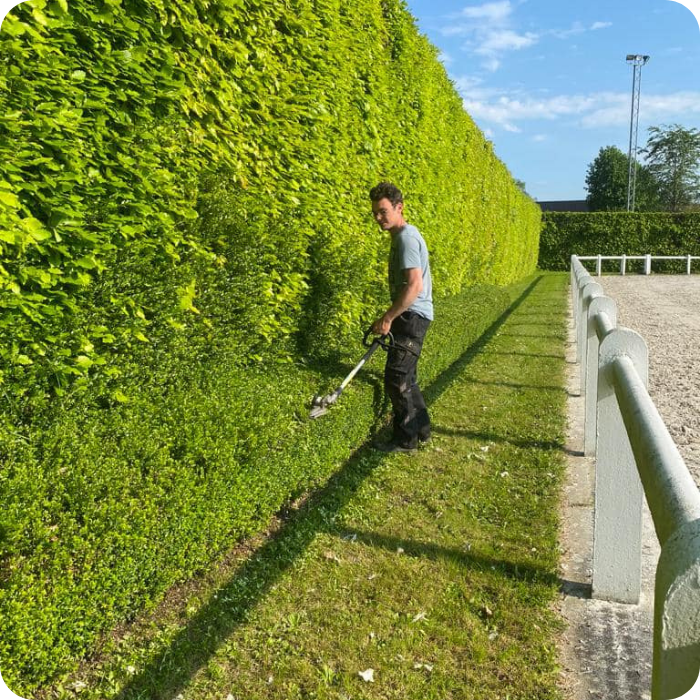 Haies, entretien jardin, jardinier, haies, espaces verts