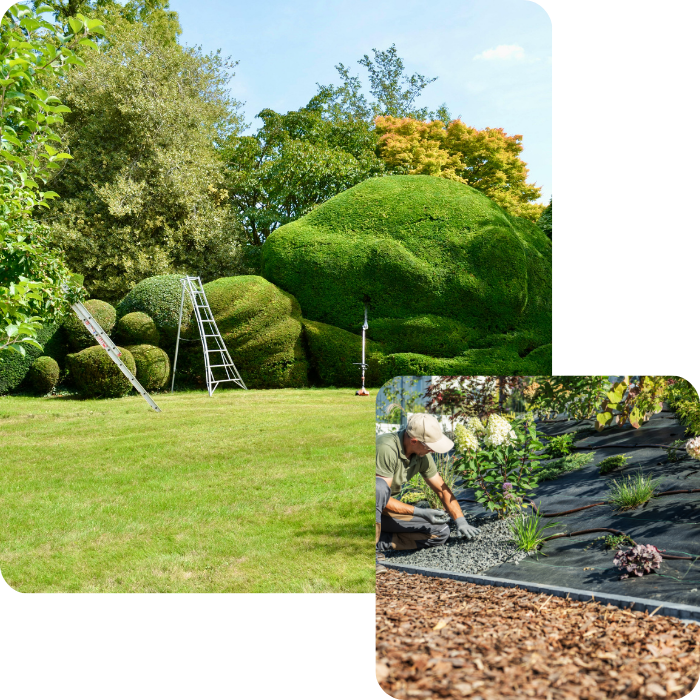 Jardin, espace vert, jardinier, parterre, plantations, allées, terrasse, pavage, klinkers, clôtures