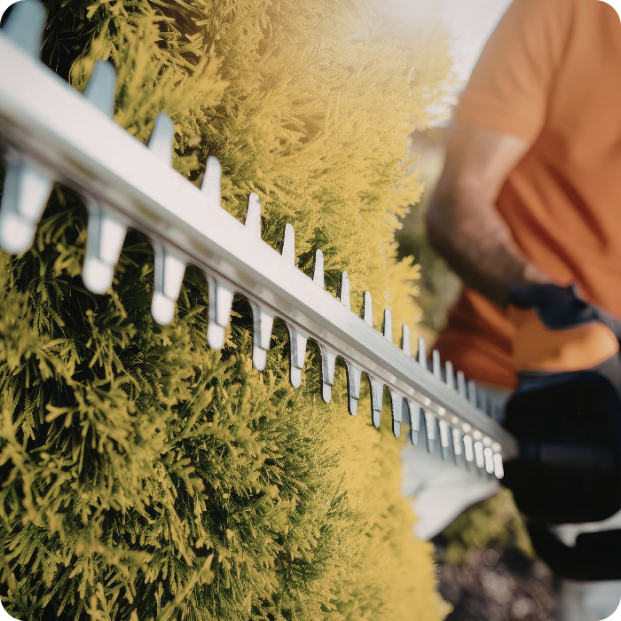 Taille haie, nettoyage jardin, outils, location, équipements