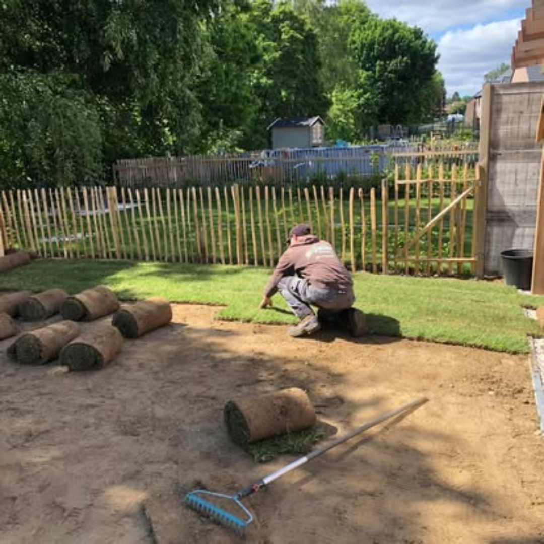 jardin, espace fleuri, espace vivant