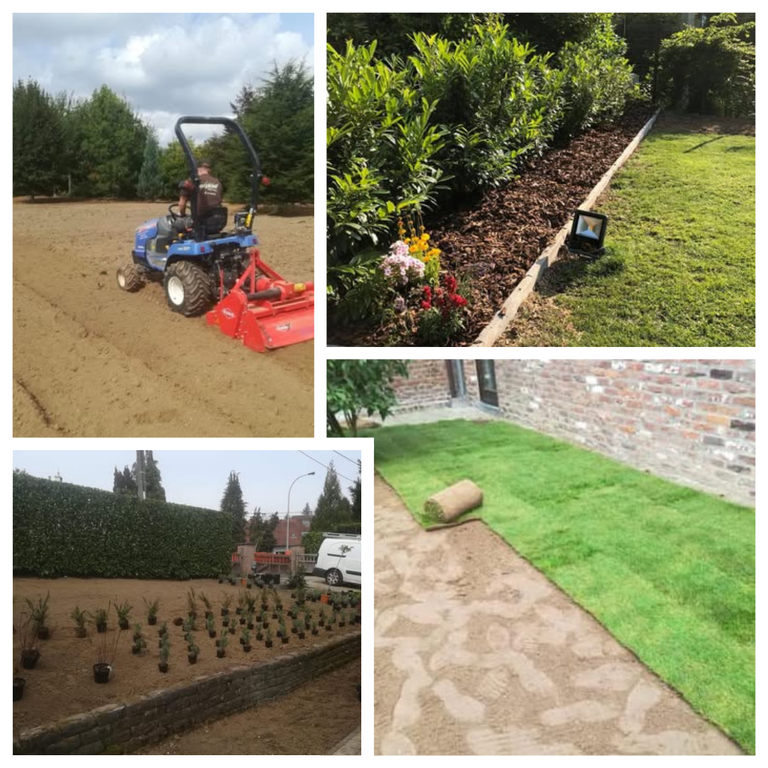 arbustes, fleurs, création de pelouse, plantation