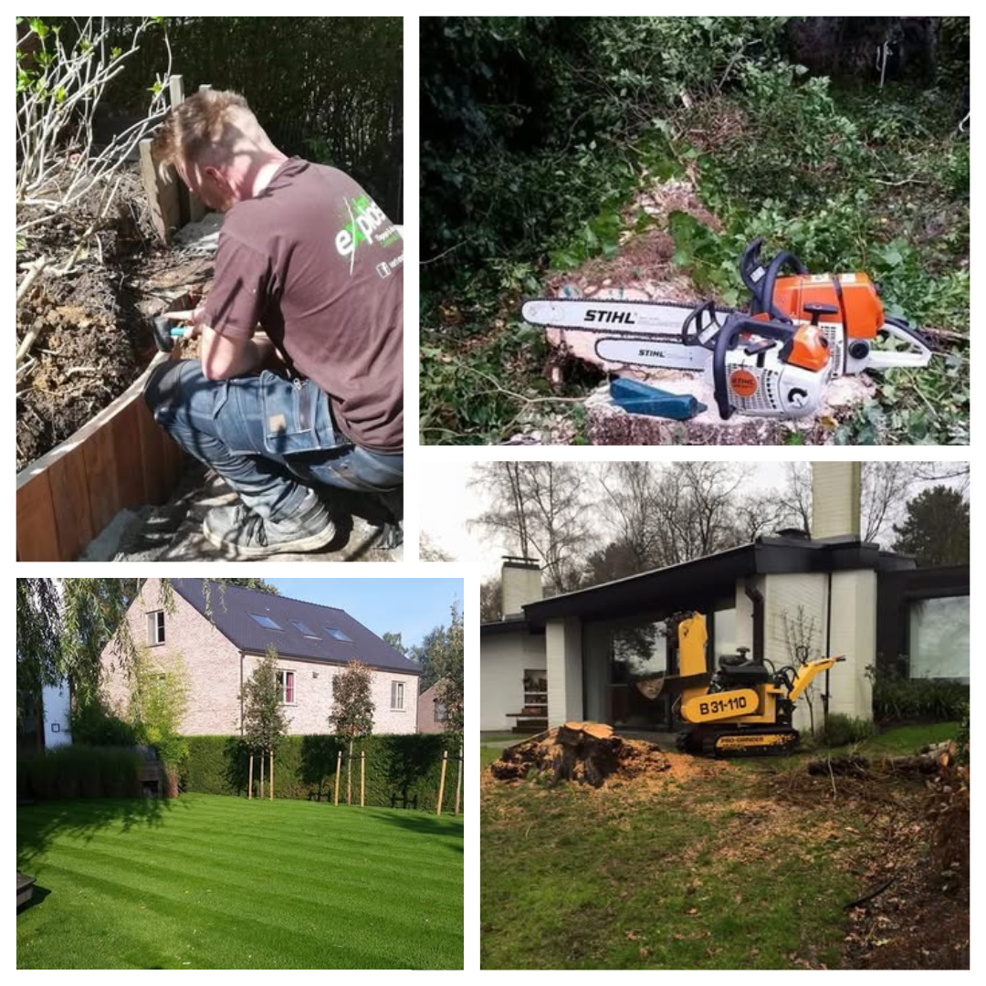 Entretien, jardin, pelouse, espace verts 